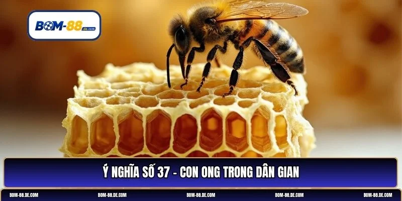 37 là còn gì
