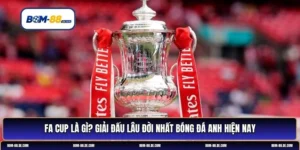fa cup là gì