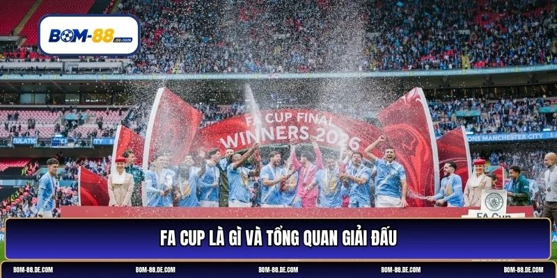 fa cup là gì